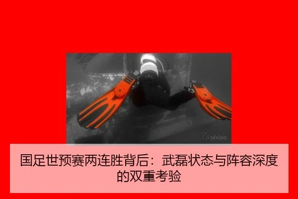 guo-zu-shi-yu-sai-liang-lian-sheng-bei-hou-wu-lei-zhuang-tai-yu-zhen-rong-shen-du-de-shuang-chong-kao-yan-2-140.jpg